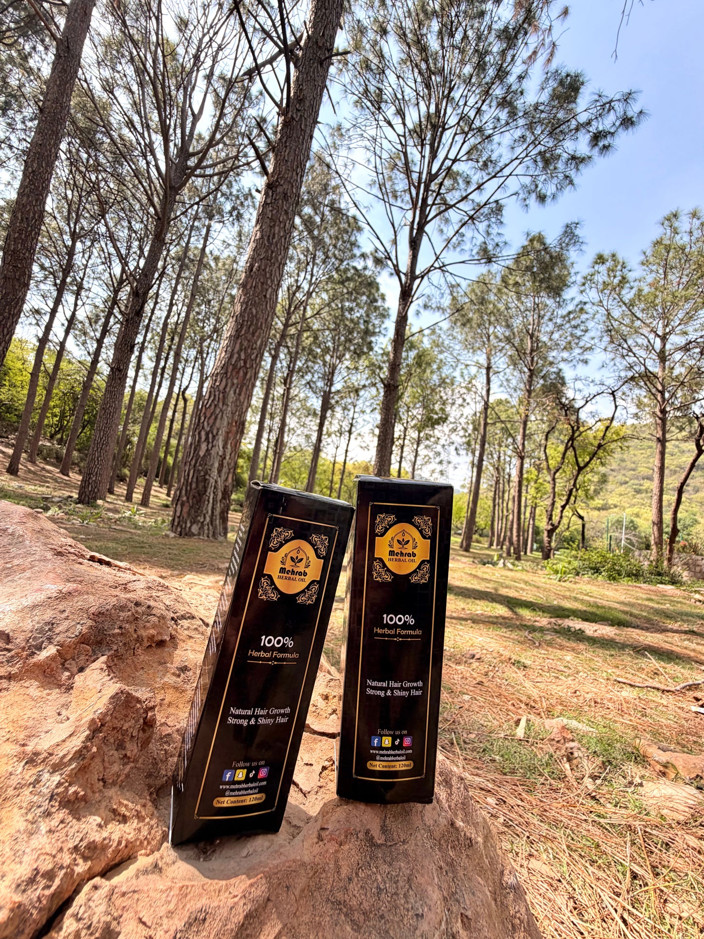 Mehrab Herbal Oil