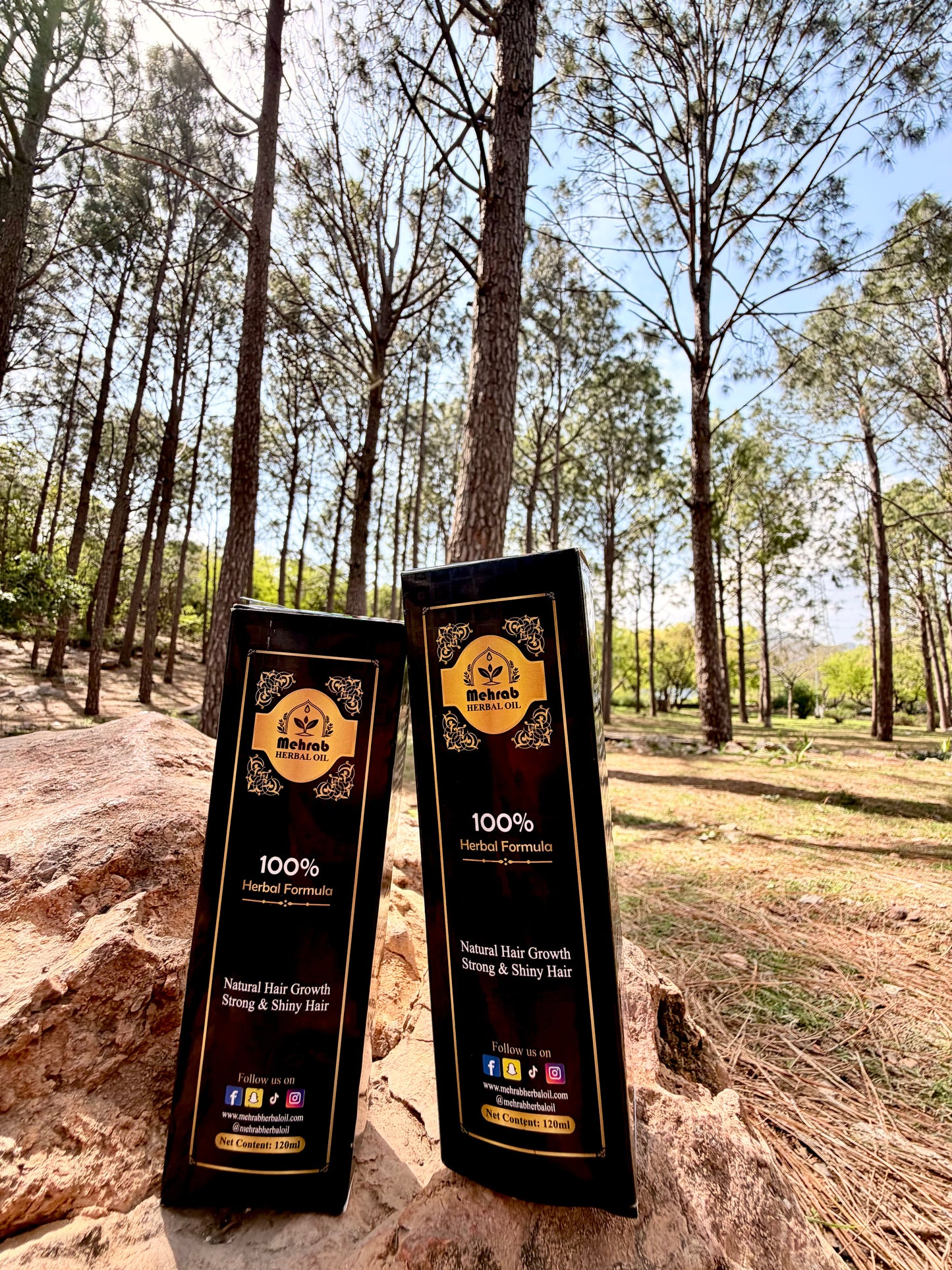 Mehrab Herbal Oil