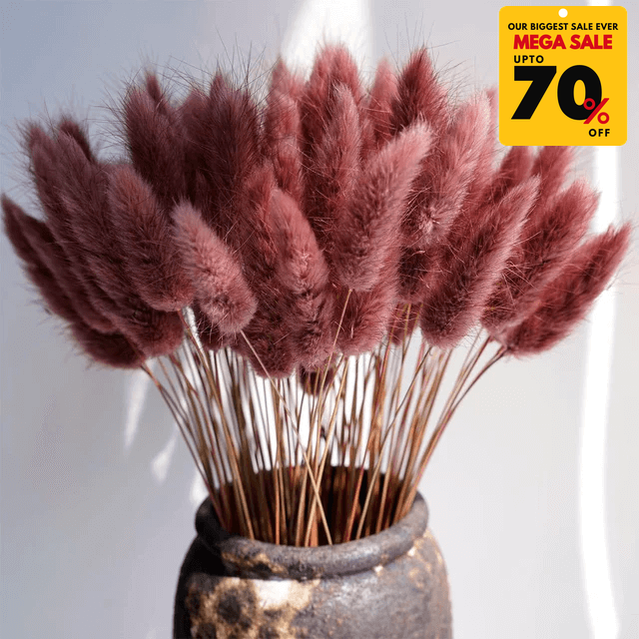 Natural Dried Fluffy Bunny Tails - SC 32