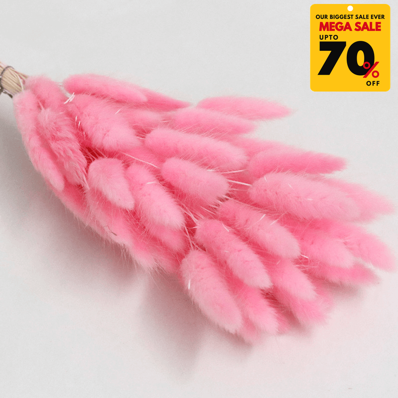 Natural Dried Fluffy Bunny Tails - SC 42
