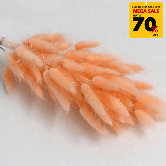 Natural Dried Fluffy Bunny Tails - SC 27