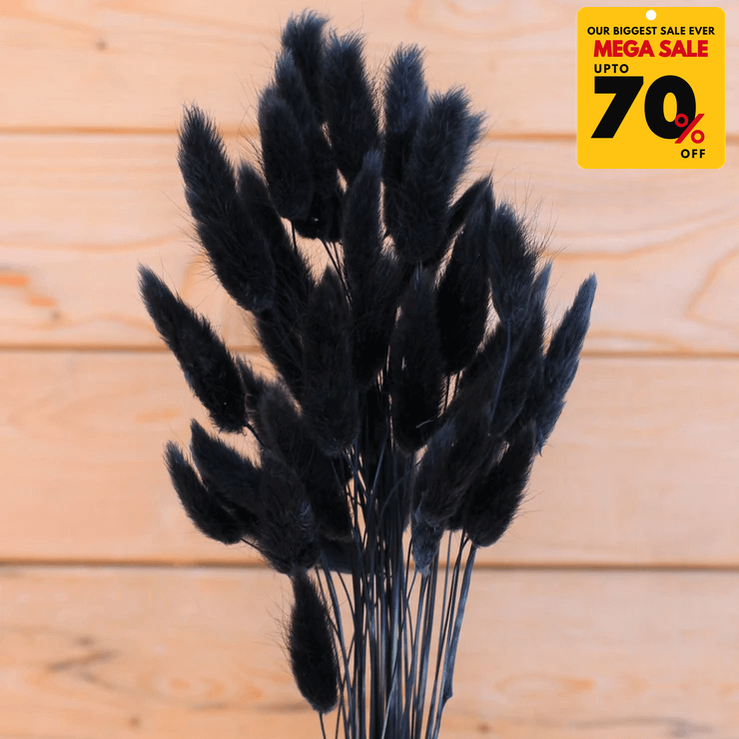 Natural Dried Fluffy Bunny Tails - SC Black